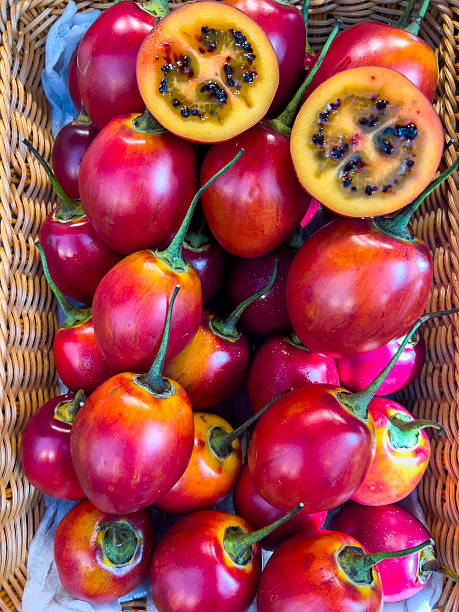 Tree Tomatoes